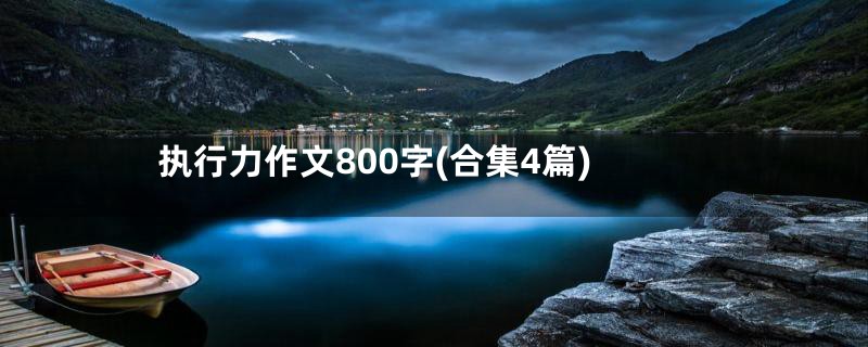 执行力作文800字(合集4篇)