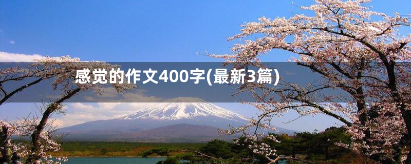 感觉的作文400字(最新3篇)