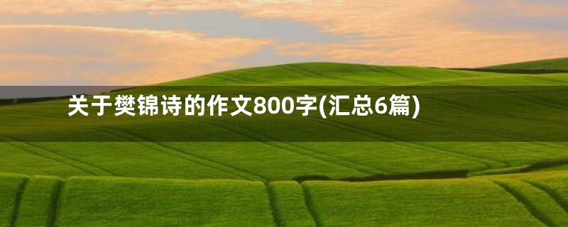 关于樊锦诗的作文800字(汇总6篇)