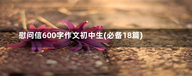 慰问信600字作文初中生(必备18篇)