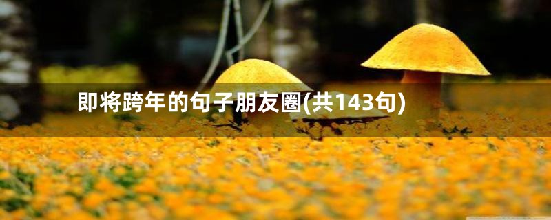 即将跨年的句子朋友圈(共143句)