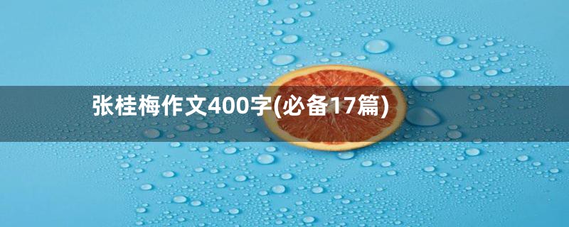 张桂梅作文400字(必备17篇)