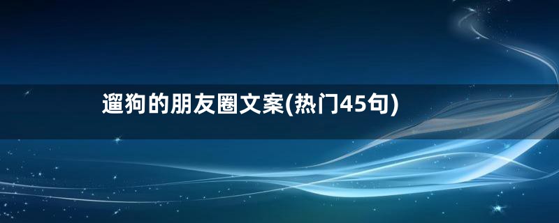 遛狗的朋友圈文案(热门45句)