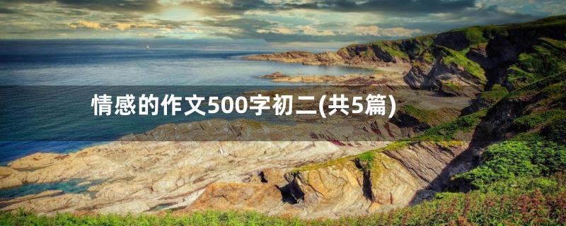 情感的作文500字初二(共5篇)