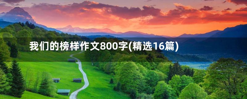 我们的榜样作文800字(精选16篇)