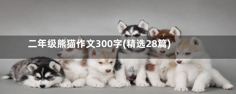 二年级熊猫作文300字(精选28篇)