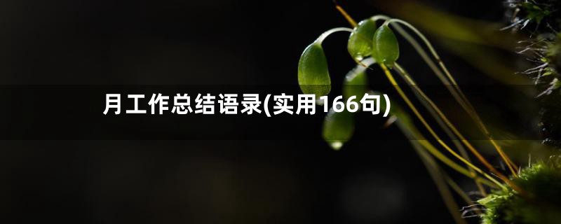 月工作总结语录(实用166句)