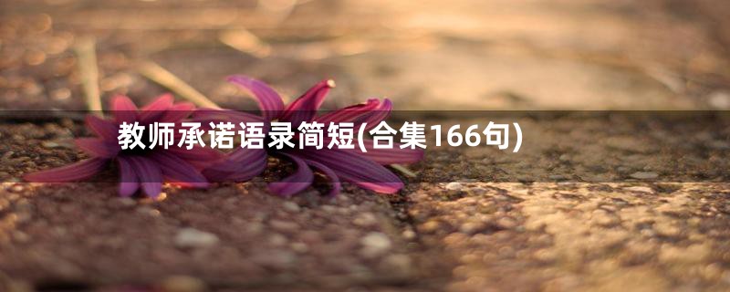 教师承诺语录简短(合集166句)