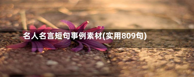 名人名言短句事例素材(实用809句)