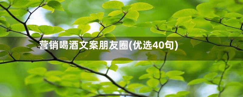 营销喝酒文案朋友圈(优选40句)