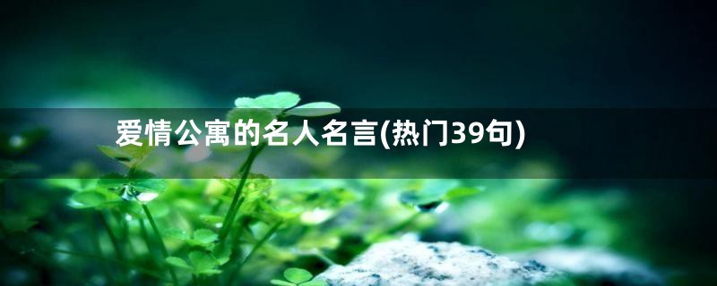 爱情公寓的名人名言(热门39句)