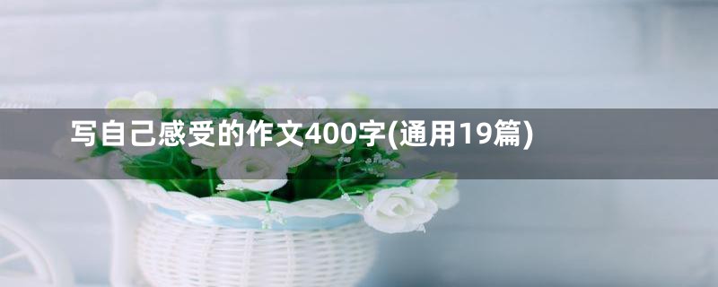 写自己感受的作文400字(通用19篇)