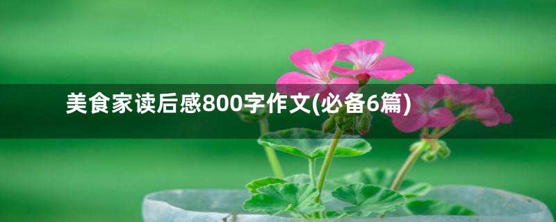 美食家读后感800字作文(必备6篇)