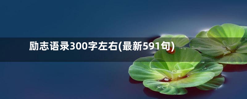 励志语录300字左右(最新591句)