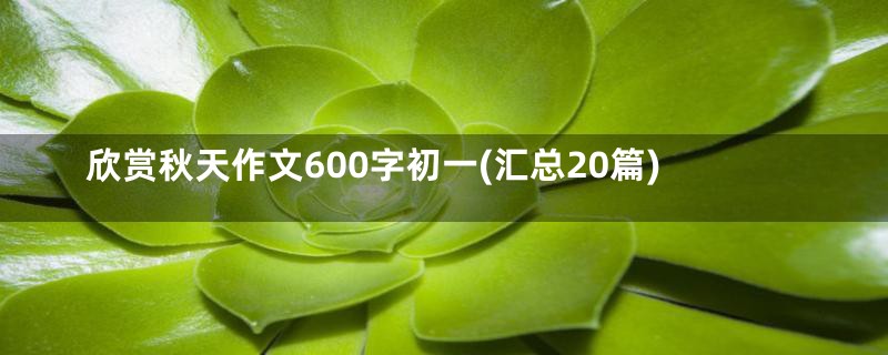 欣赏秋天作文600字初一(汇总20篇)