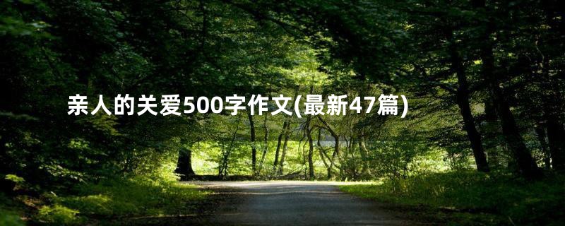 亲人的关爱500字作文(最新47篇)