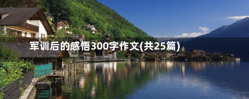 军训后的感悟300字作文(共25篇)