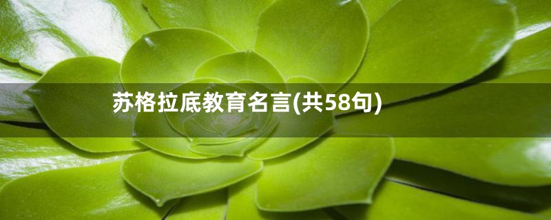 苏格拉底教育名言(共58句)