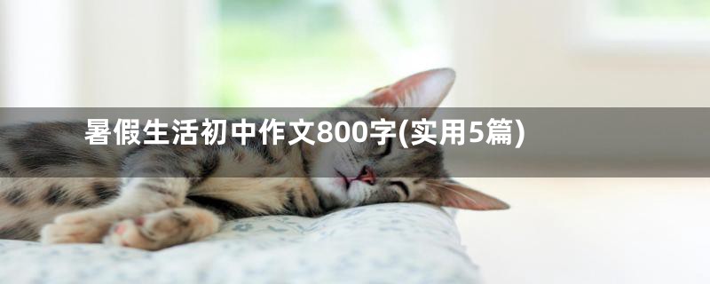 暑假生活初中作文800字(实用5篇)